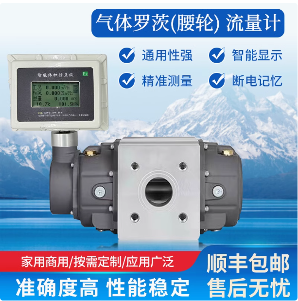 LLQ-125氣體羅茨腰輪流量計